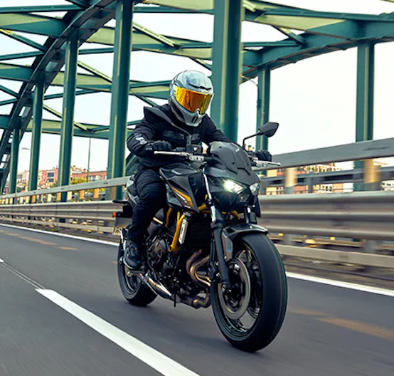 2026-Models Kawasaki Rollover Z-650-S-Rollover