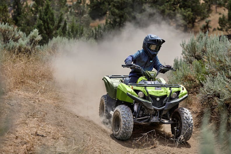 2026-Models Yamaha Rollover Grizzly-110-Rollover